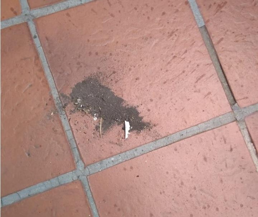 Contaminación de COPETRO: Vecinos volverán a reunirse y podrían definir nuevas movilizaciones