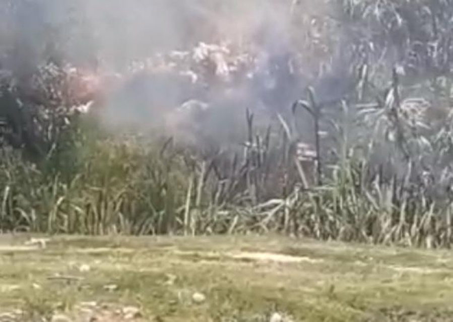 Se desató un importante incendio en la rotonda de 19 y 520