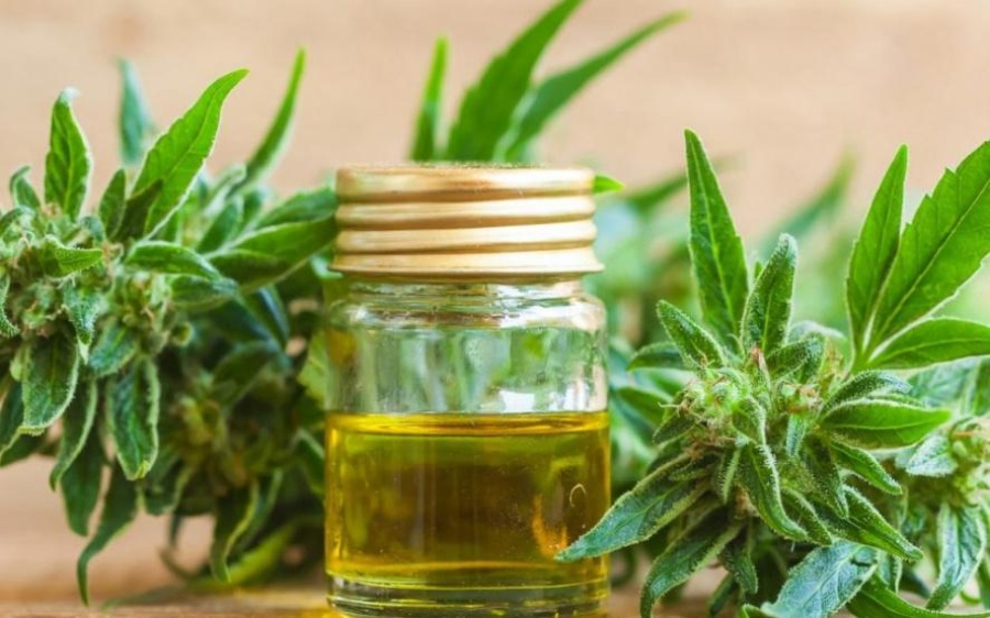 La ANMAT prohibió la venta y el uso de una crema curativa con aceite de cannabis