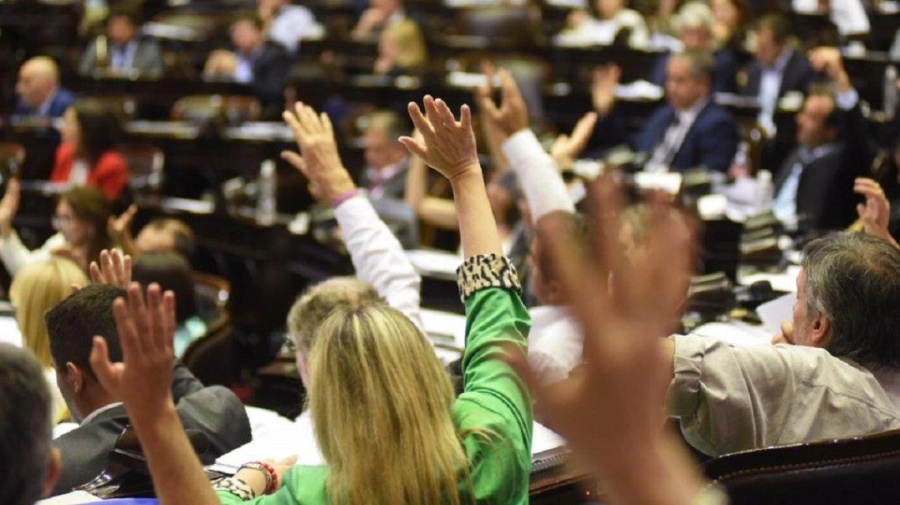 La cámara de Diputados dejó fuera del congelamiento de las jubilaciones a la política, la justicia y la diplomacia