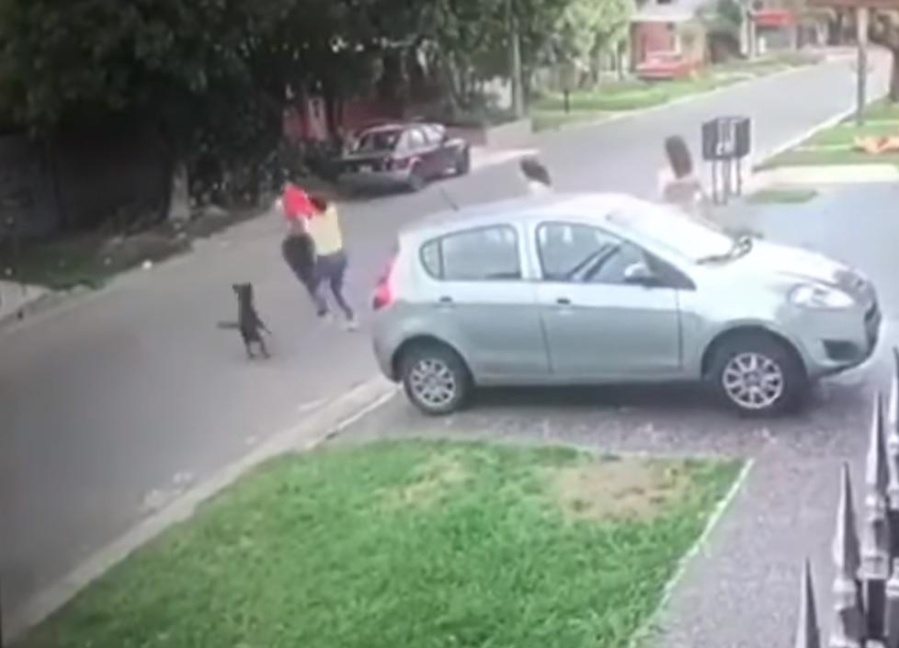 La víctima equivocada: quiso robar en una casa de Los Hornos y la dueña era experta en Kick Boxing