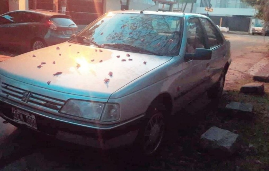 Le robaron el auto a un joven en Gonnet y hallaron sus pertenencias en Melchor Romero