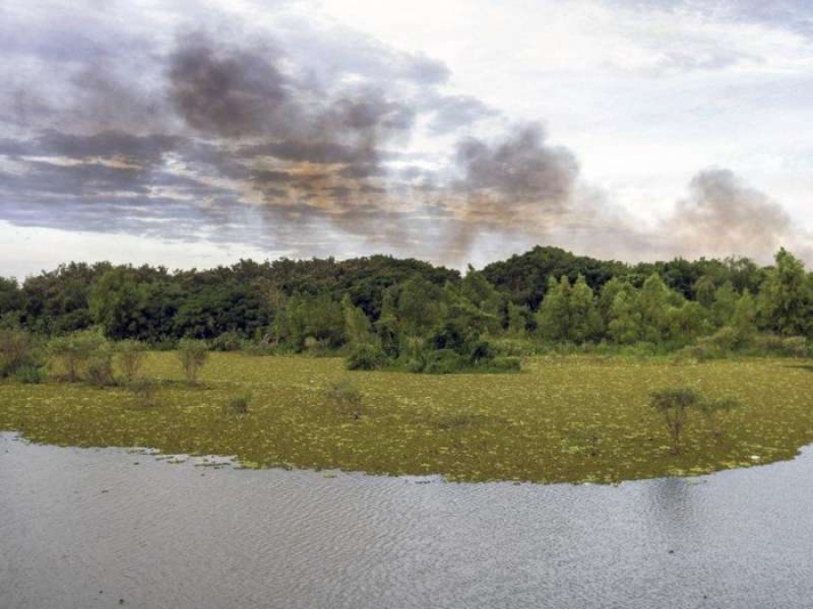 Incendio en la Reserva Ecológica de Costanera Sur: investigan si fue intencional