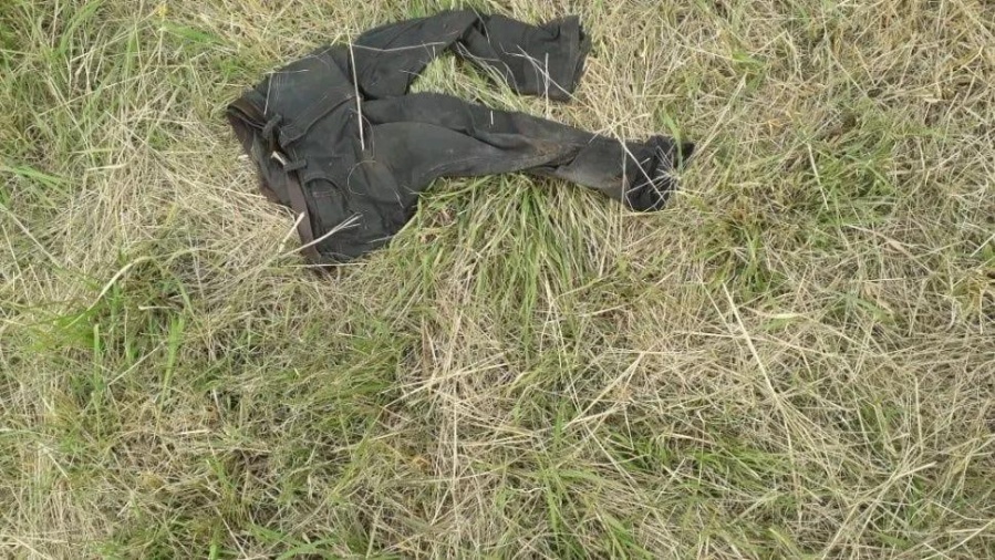 Horror en La Plata: Hallan una cabeza colgada de un árbol y el cuerpo desmembrado en el piso