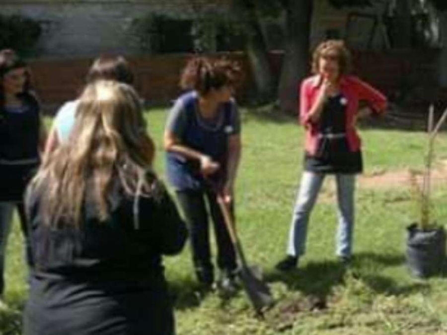 Un ex concejal platense asegura que Gastón Crespo está impulsando un proyecto que él mismo promovió