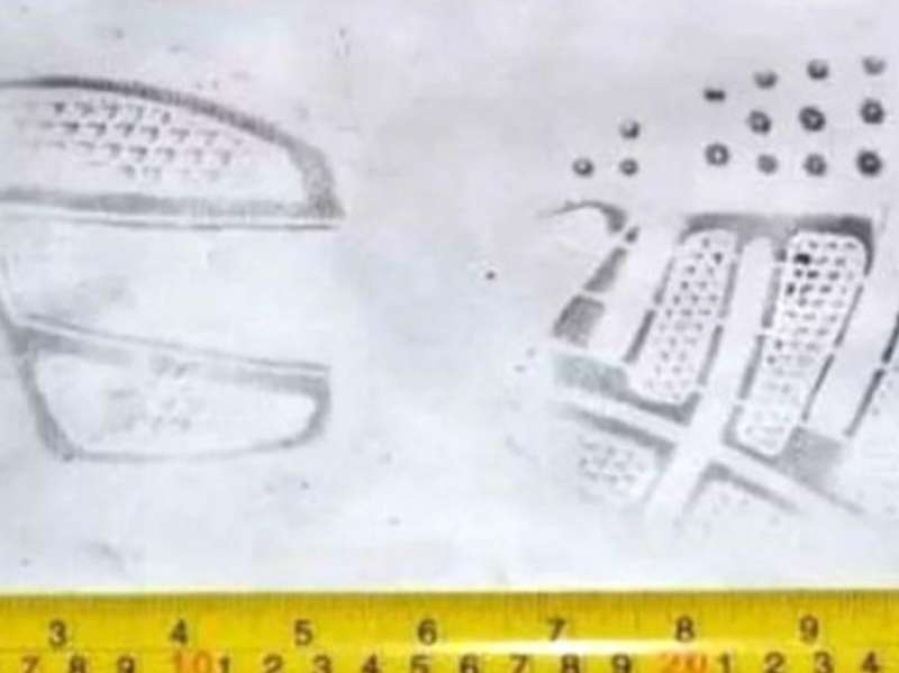 La zapatilla que el rugbier asesino usó para golpear hasta la muerte a Fernando Báez Sosa, será examinada la próxima semana