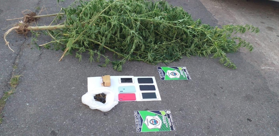 Robaban celulares en La Plata, pero también los descubrieron con droga que comercializaban