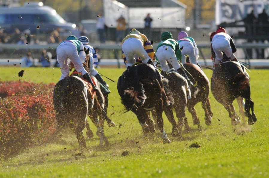 El Hipódromo de La Plata se despega de Palermo: finalmente habrá carreras pero sin público