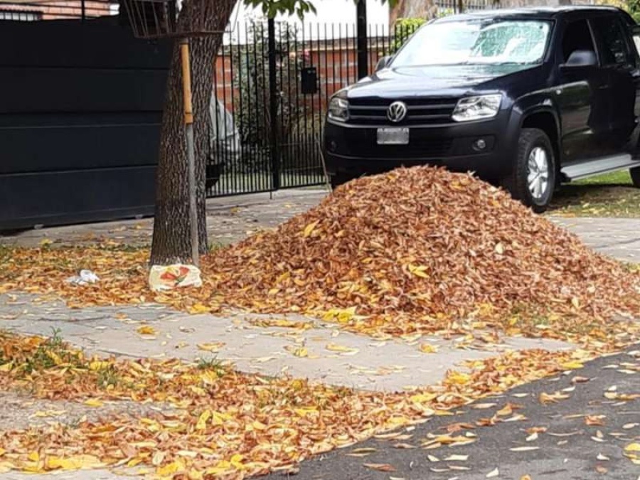 Vecinos denuncian acumulación de hojas y falta de recolección 