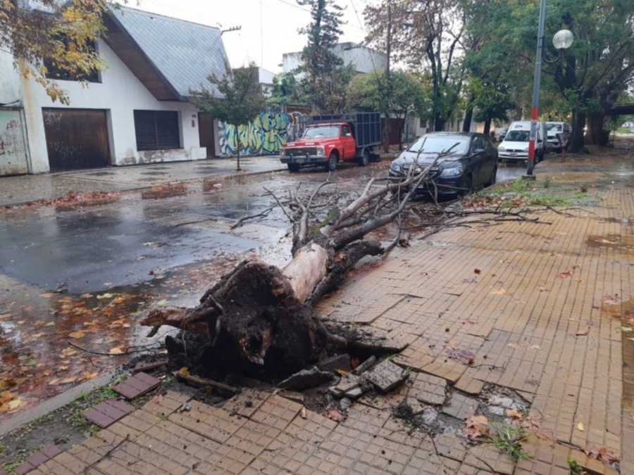Tolosa registró ráfagas de viento de 78 kilómetros por hora esta mañana
