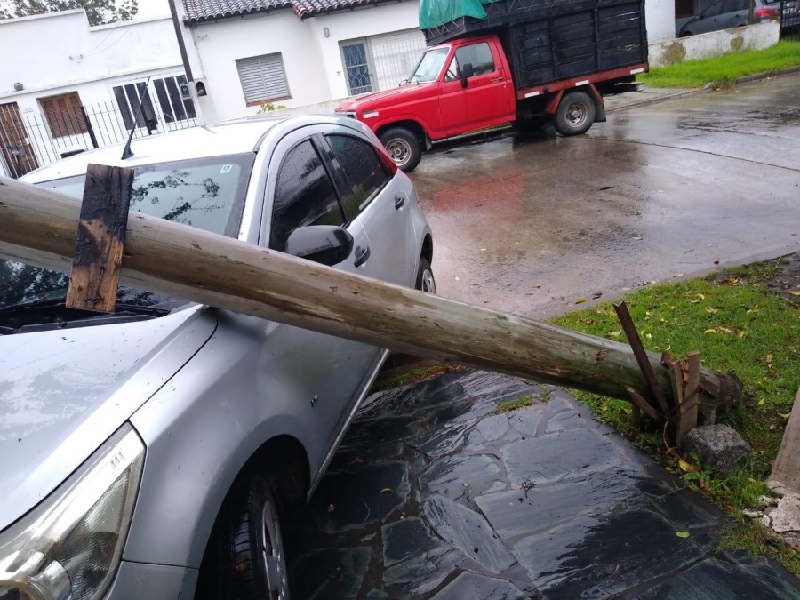 Varios puntos de La Plata se quedaron sin luz y hubo caídas de postes y cables cortados