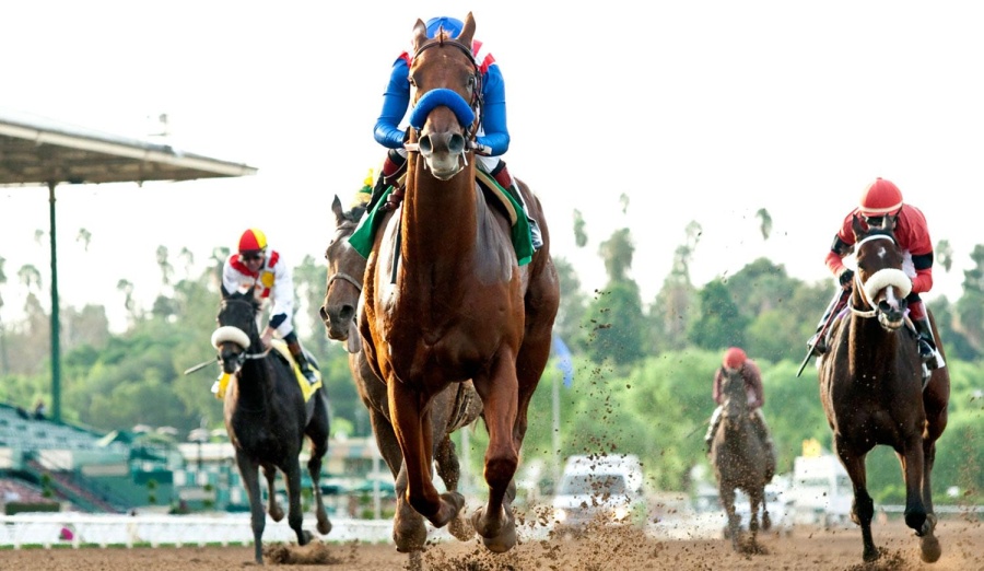 Provincia se reunirá con Lotería para destrabar las deudas a trabajadores del turf platense