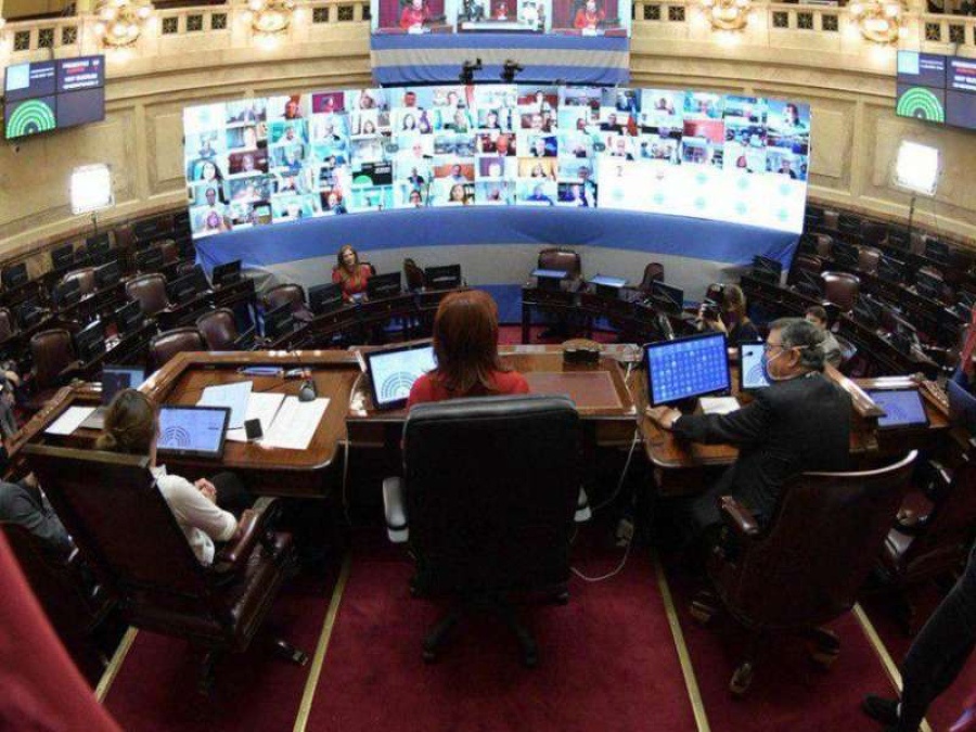 El Senado sesiona por primera vez de manera virtual