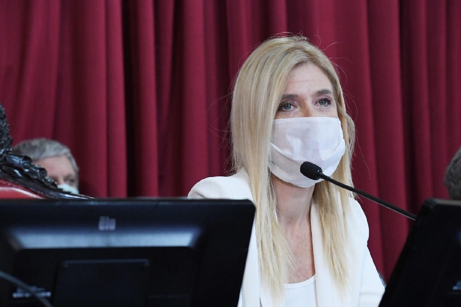 Polémica: Magario criticó en plena sesión a los senadores que no respetaron la cuarentena