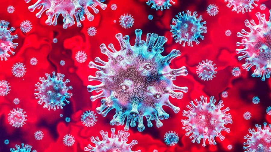 Coronavirus: una tradición japonesa podría curar el Covid-19