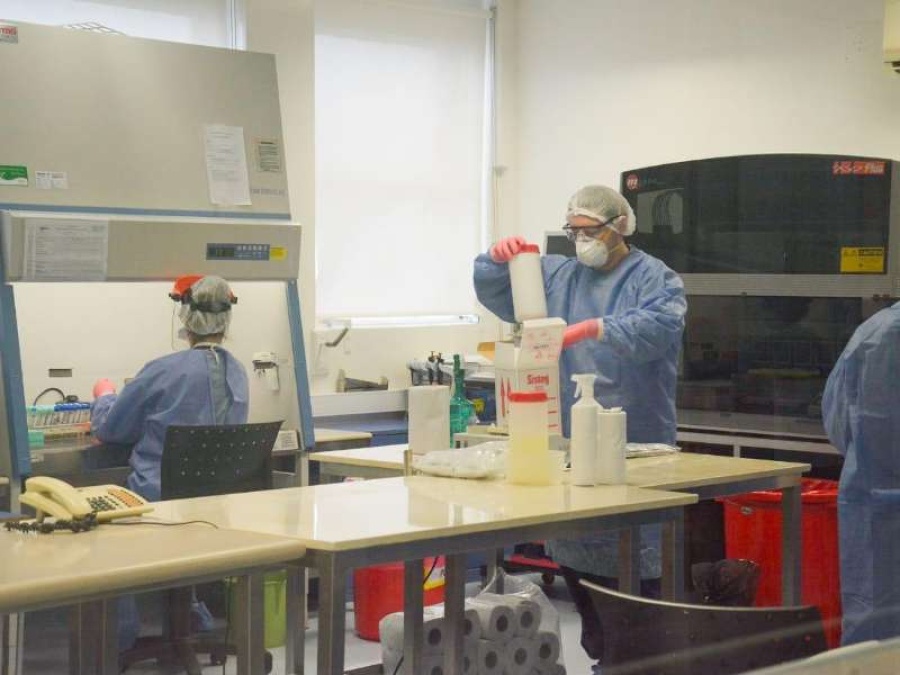 La Provincia recibió 6 mil kits para el diagnóstico de inmunidad