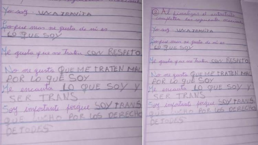 ”Yo soy una travita” dijo una nena de 7 años en una tarea escolar