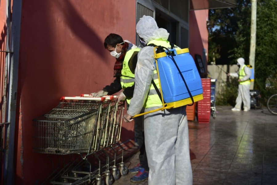 Record de personas recuperadas en La Plata: 100 platenses fueron dados de alta y hay 14 nuevos infectados