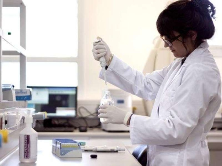 Científicos argentinos utilizarán suero de caballos para neutralizar al coronavirus