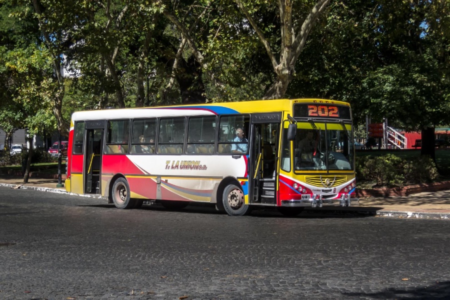 Un chofer de la línea 202 dio positivo de Coronavirus en medio de la ola de denuncias por falta de controles y alcohol en gel