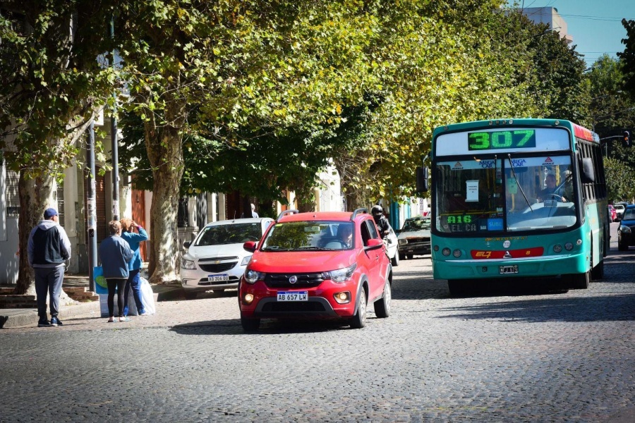 En La Plata prorrogarán las licencias de conducir con vencimiento entre febrero y agosto