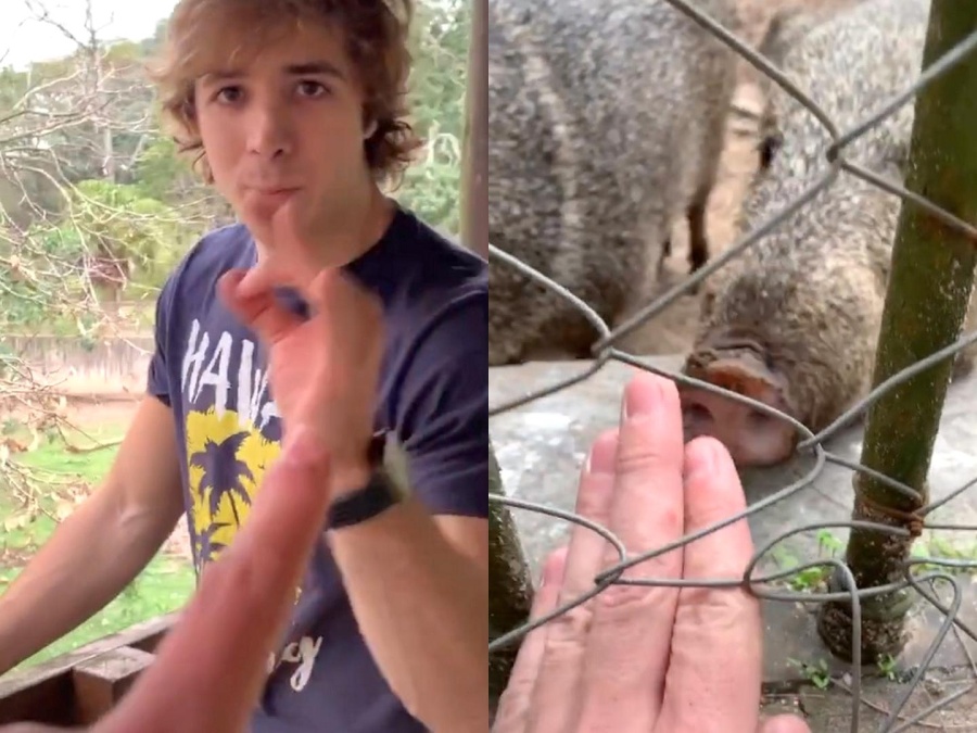 Tres jóvenes se metieron en el Zoo de La Plata sin autorización y ahora serán denunciados penalmente