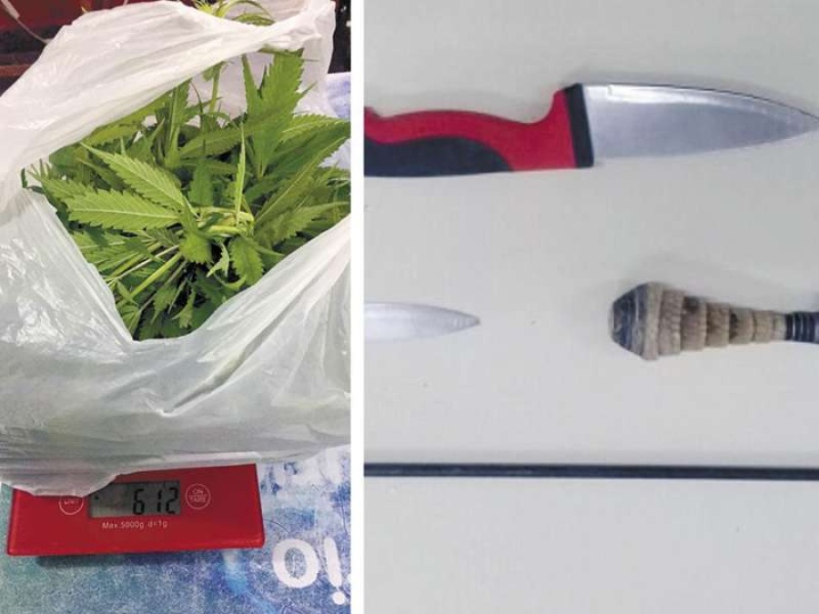 Detuvieron a cuatro personas en la Zona Roja de La Plata cuando transitaban en una utilitaria con hojas de marihuana