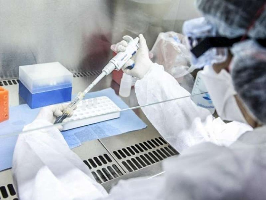 El 70% de quienes se ofrecen como donantes de plasma en la provincia de Buenos Aires son mujeres