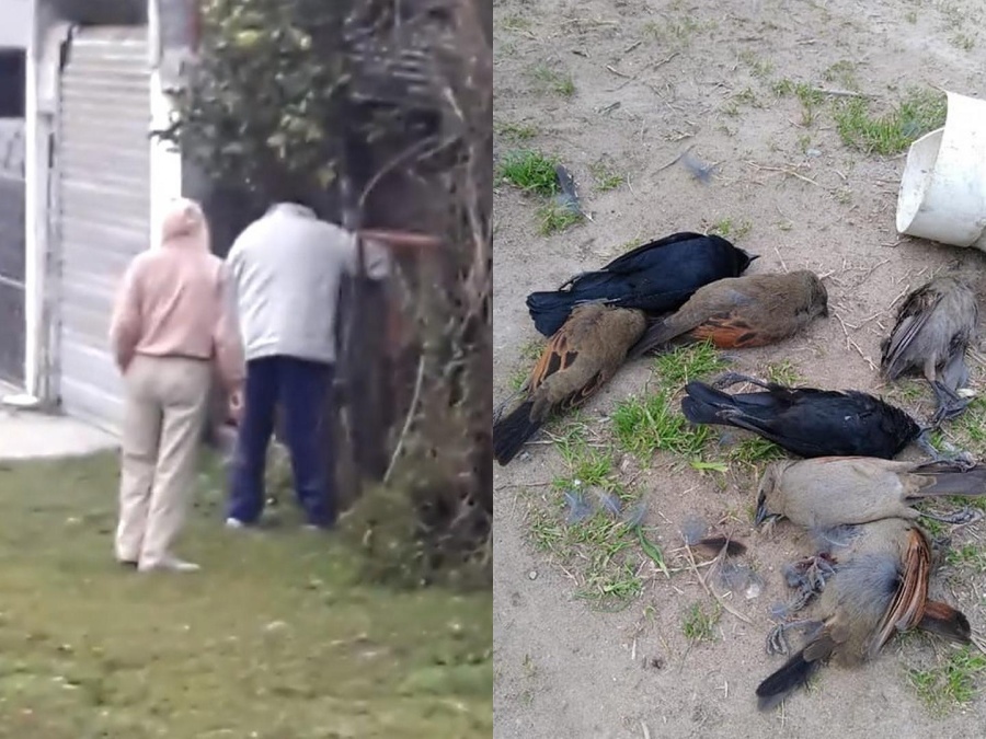 Furia y escrache a un envenenador platense de animales: ”Te hacés el buenito pero sos un asesino”