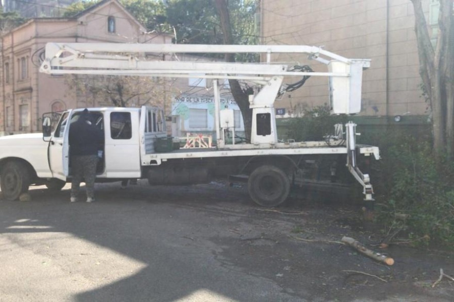 Una cuadrilla de Berisso podó ilegalmente en 15 y 54 y la Municipalidad quiere una multa de $500.000