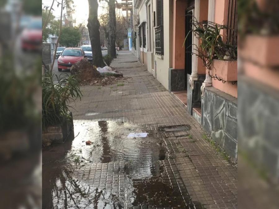 No se puede caminar en una vereda de 16 y 54 y un vecino estalló contra ABSA: ”Donde me lastime van a ver”