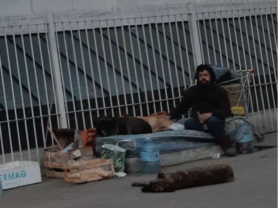 Un hombre de La Plata y sus perros quedaron en la calle y ruega por un trabajo