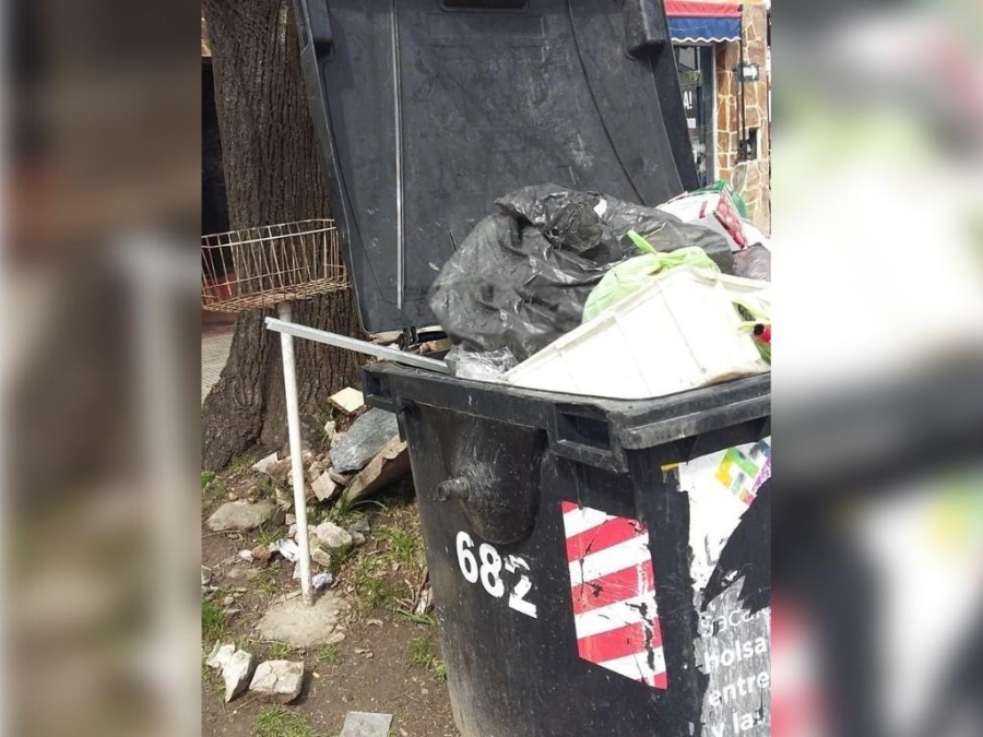 Gonnet, lleno de ratas porque el municipio no vacía los contenedores de basura