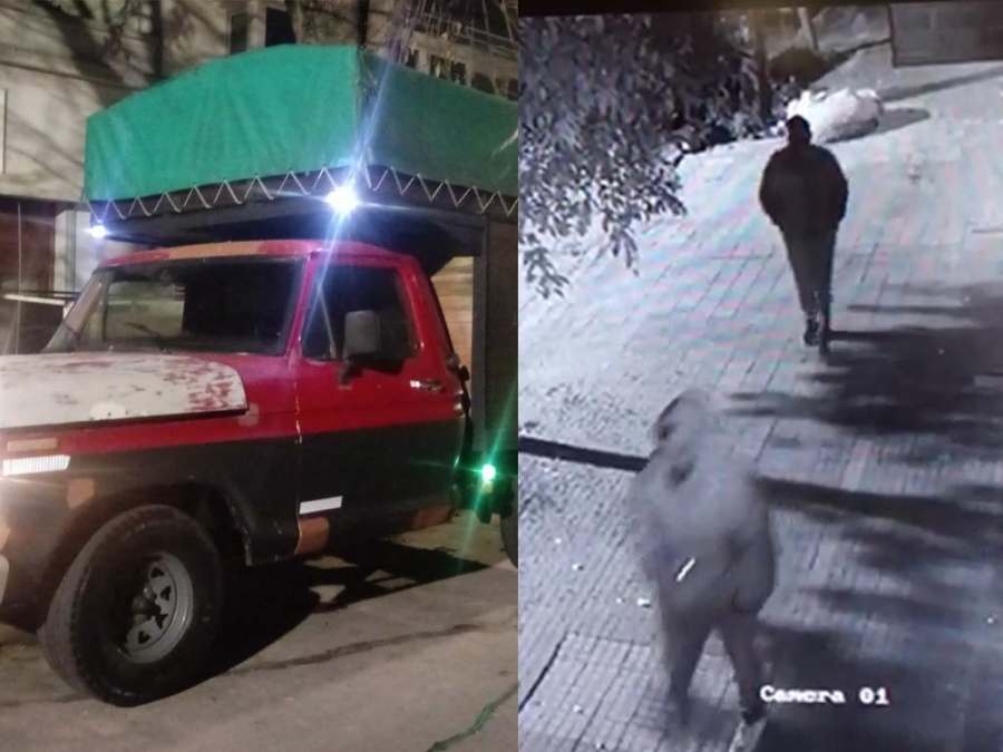 Le robaron la camioneta a un joven fletero de La Plata y su familia pide recuperarla: ”Era su sueño, la compró con muchísimo sacrificio”