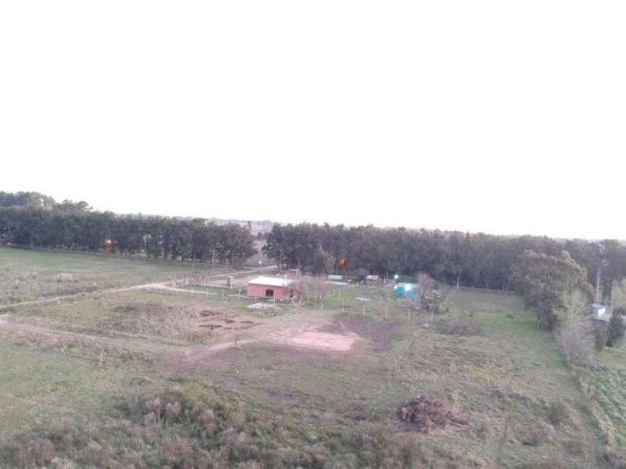 Vecinos de Abasto están cansados de sufrir robos y usurpaciones: ”Nadie nos da respuestas; necesitamos mayor presencia policial”