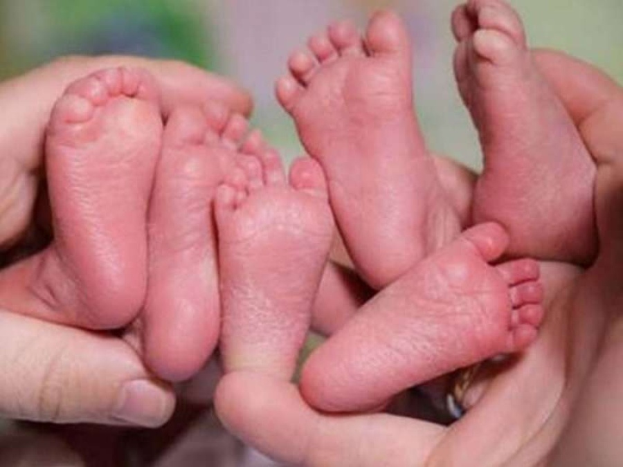 Mar del Plata: nacieron trigemelas idénticas