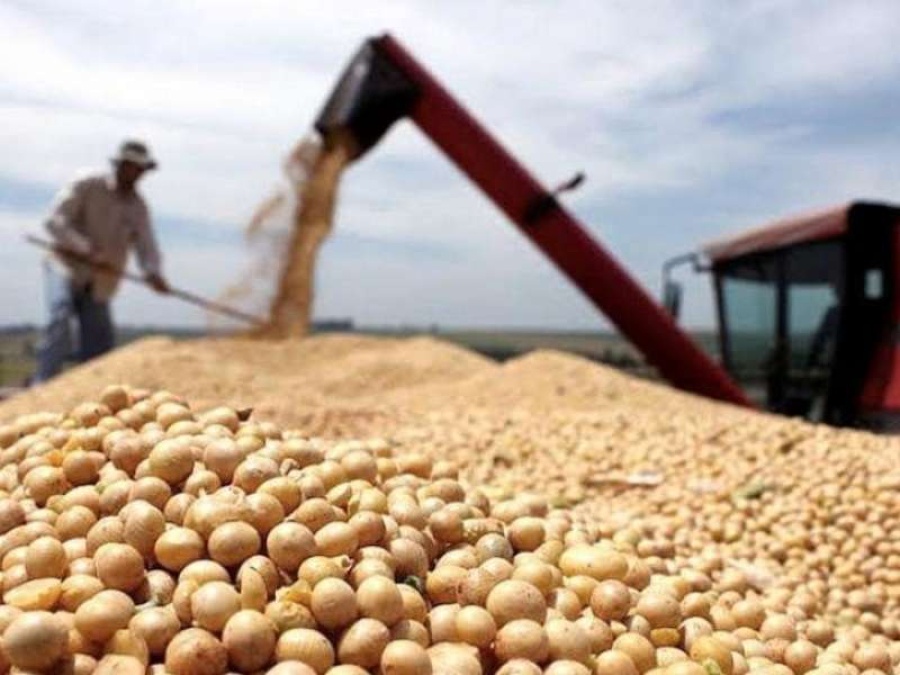 Se anunciará una baja de las retenciones para la soja por 90 días