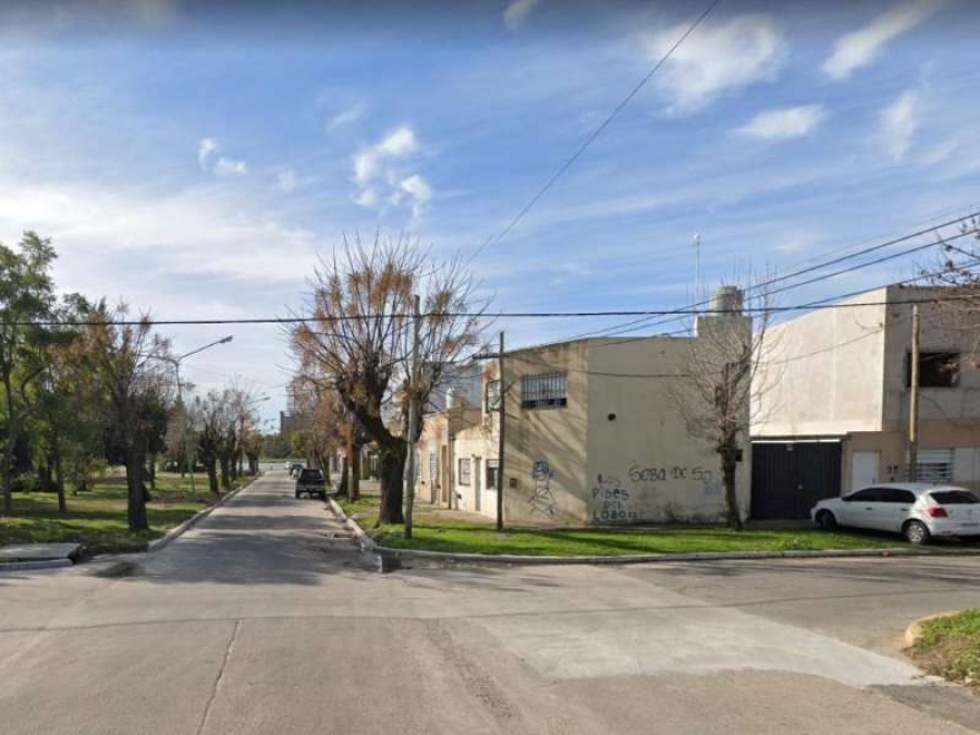 Miedo en Ensenada por una jauría de perros agresivos: ”Atacaron a mi nene de 3 años, pensé que lo mataban”