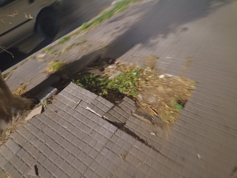 Vecinos de 10 entre 42 y 43 reclaman por una vereda rota que genera caídas en personas mayores