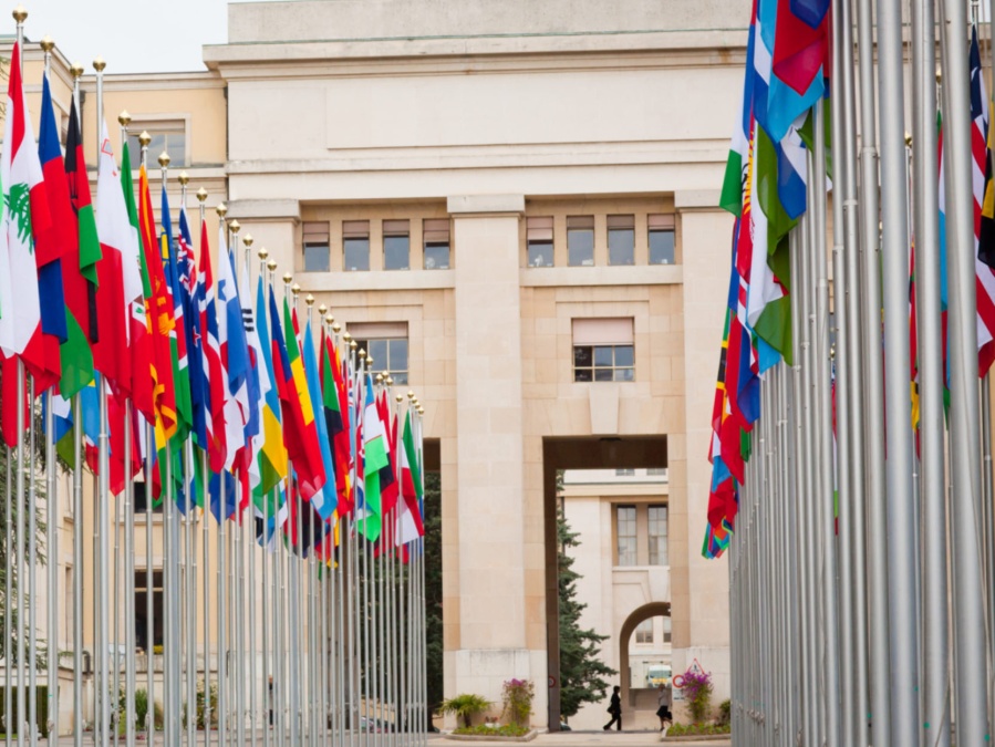 Denunciaron al Gobierno ante la ONU: alertaron violaciones al ”sistema democrático, los derechos humanos y el desarrollo”