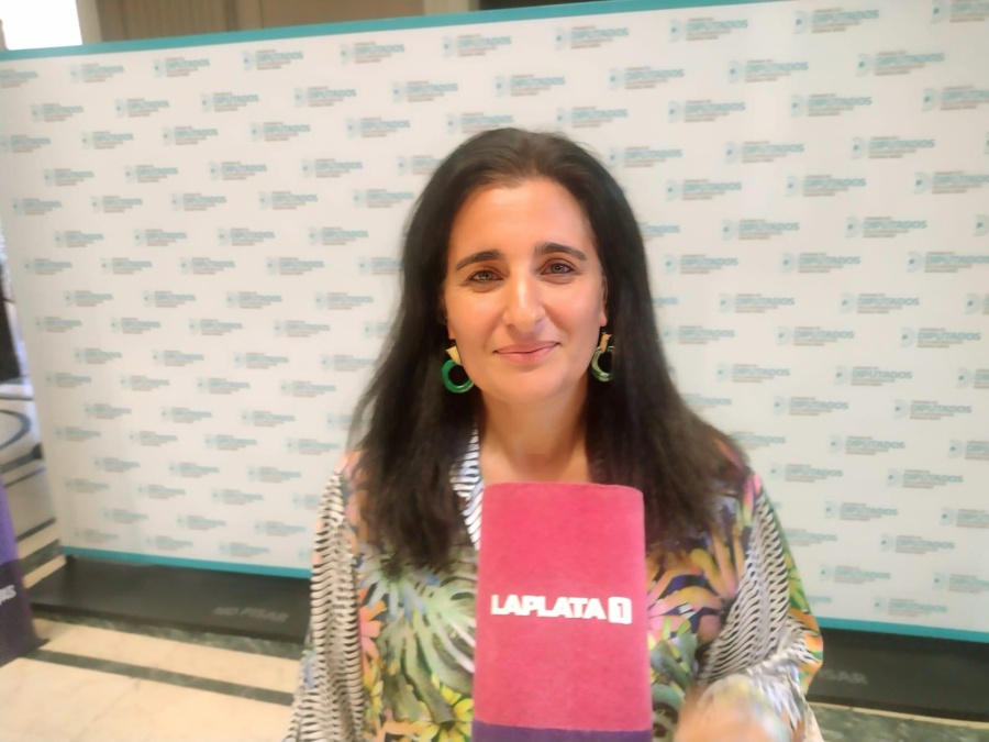 Maricel Etchecoin sobre el desdoblamiento en la Provincia: ”Voy a emitir una opinión cuando el Gobernador emita la suya”