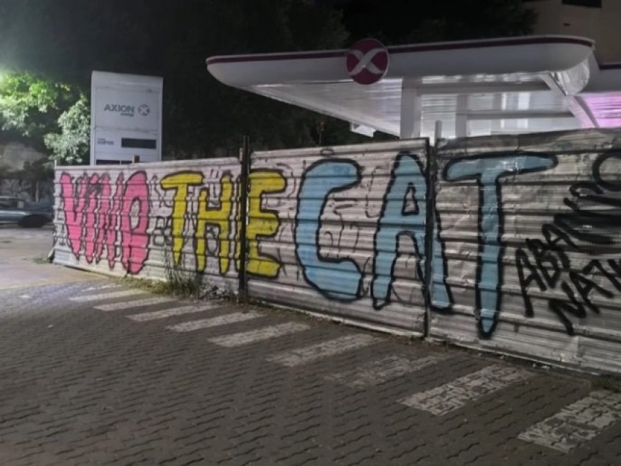 ”Vino the cat”: El graffiti que apareció en las calles platenses y es viral
