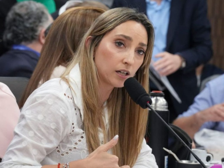 La diputada Julia Strada aseguró que desde la asunción de Milei cerraron 22 mil empresas