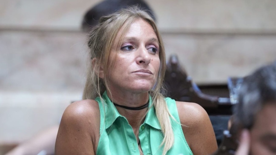 Florencia Carignano sobre la desconexión de los cables en Diputados: “Lo volvería a hacer”