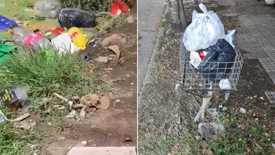 Vecinos de Tolosa no aguantan más la mugre: denuncian falta de recolección y ratas