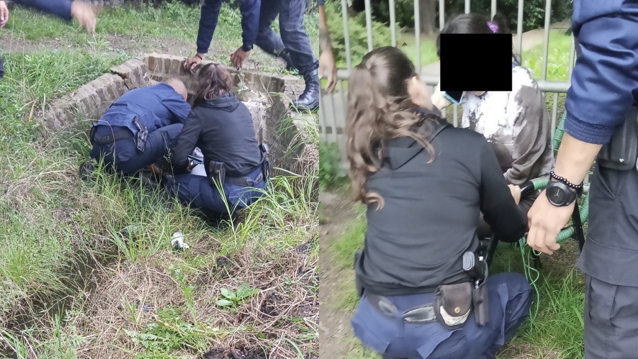 Hallaron en La Plata a una joven de 18 años en un zanjón: no recuerda cómo llegó y tenía el pelo cortado
