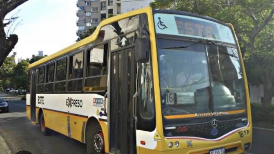 El Paro de colectivos no afectará a La Plata pero se sentirá la baja de frecuencias