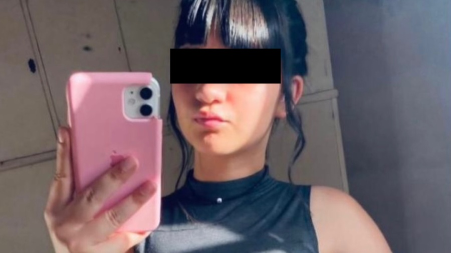 Apareció sana y salva la chica de 14 años de Los Hornos que era intensamente buscada