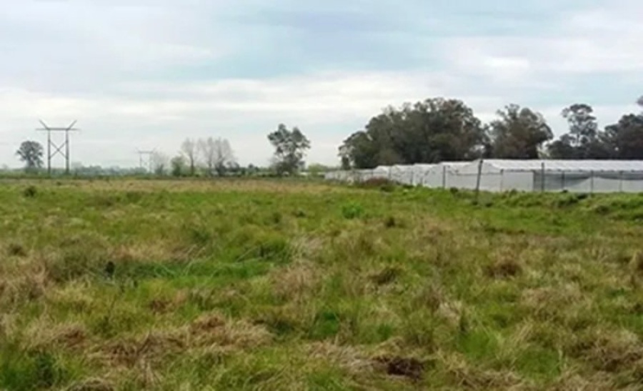 Entradera rural en el barrio El Peligro de La Plata: golpearon a dos adolescentes y se fugaron por los campos
