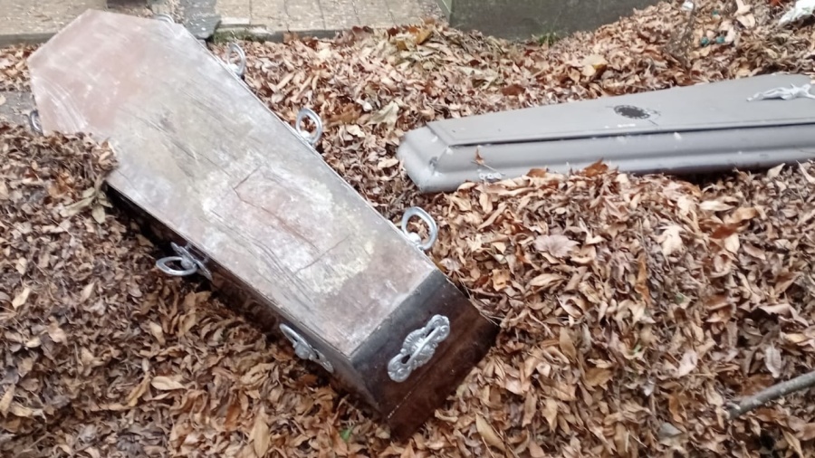 “Se roban los bronces y tiran cajones”: el calamitoso estado del Cementerio de La Plata